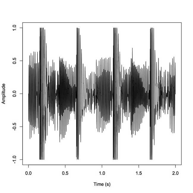 Rplot